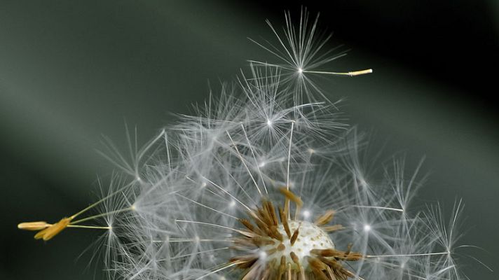 El tiempo - Viento fuerte de levante en el Estrecho