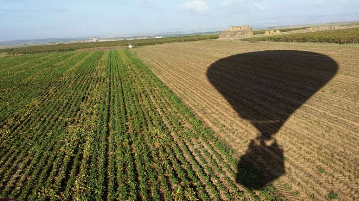 Aquí la Tierra - Viaje en globo por los viñedos riojanos