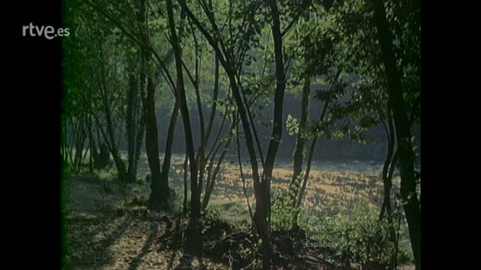 IMAGENES DEL DEPORTE 1 - Imágenes del deporte | Ver