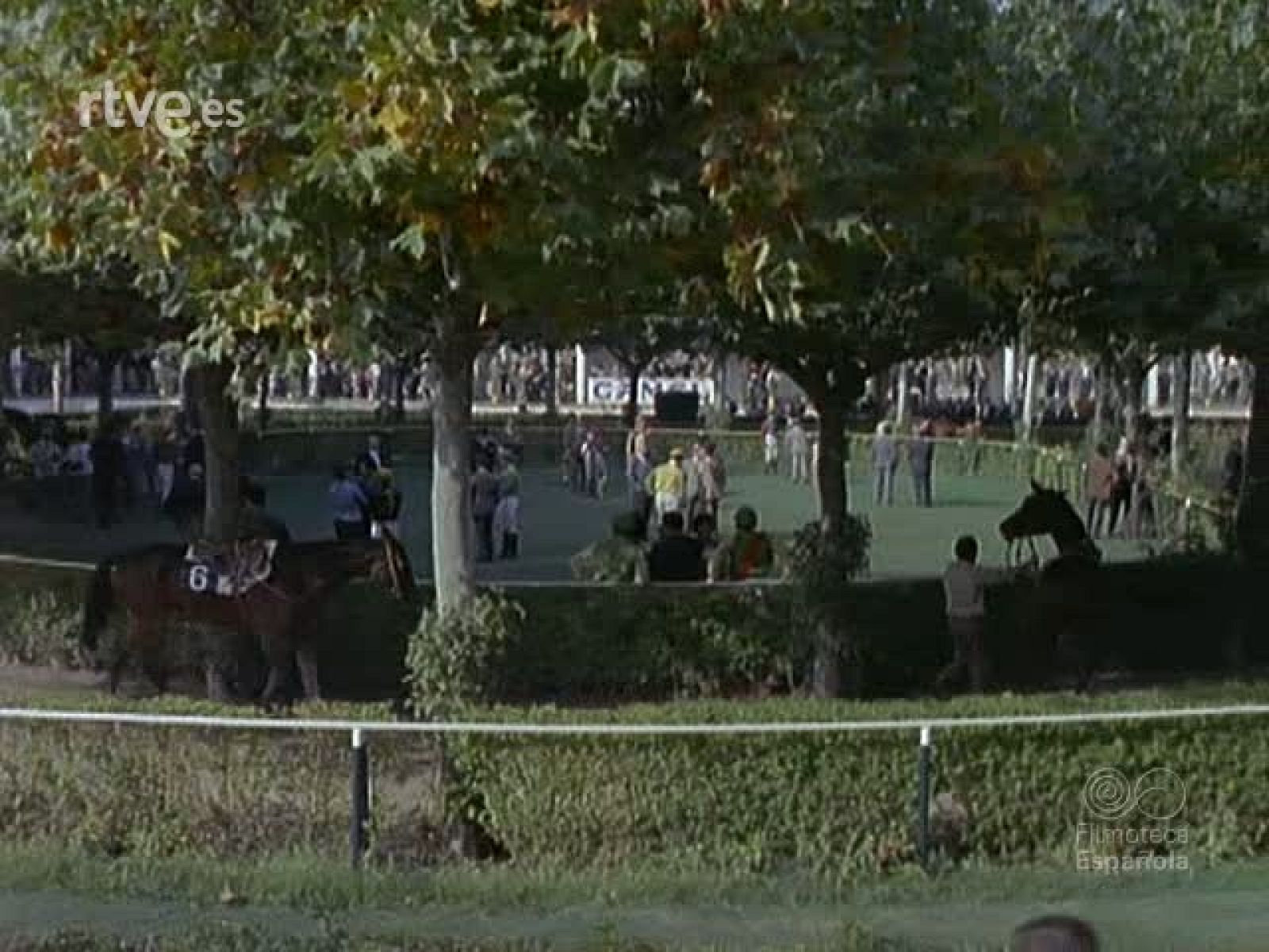 IMAGENES DEL DEPORTE 2 - Imágenes del deporte | Ver