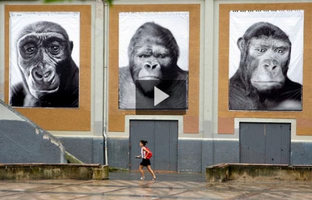  - La fotografía invade Getxo