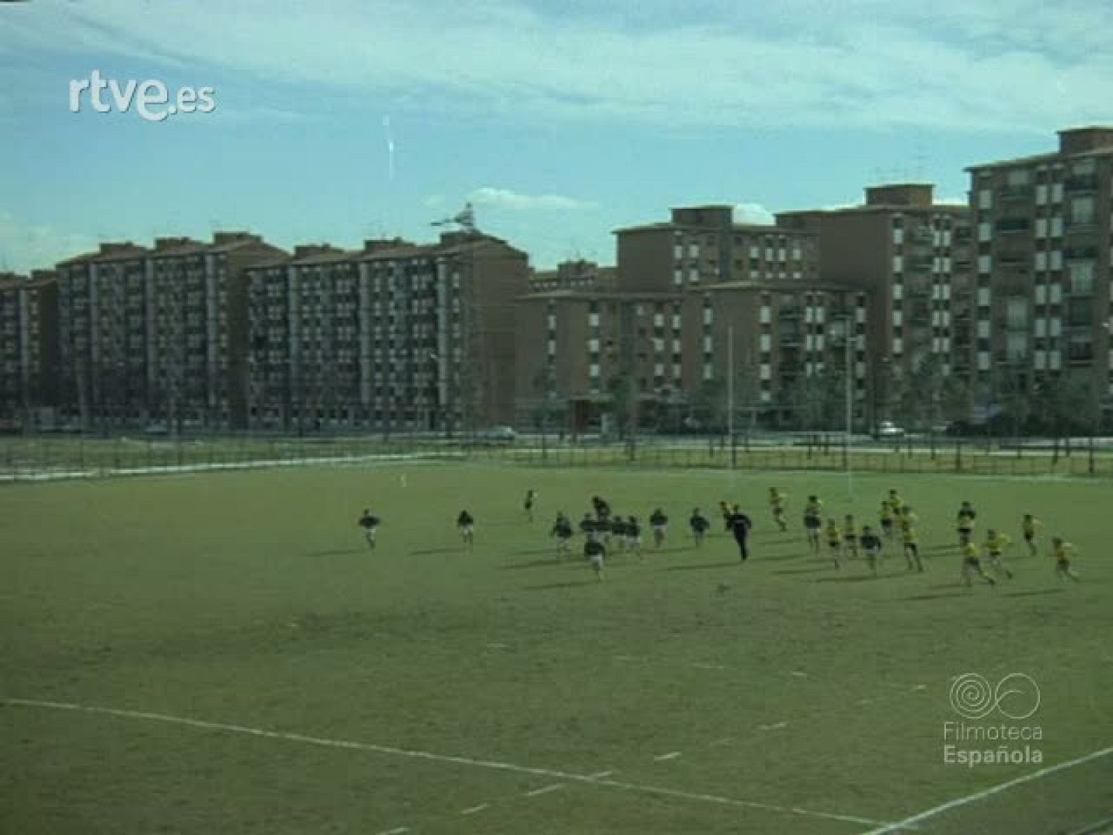 RUGBY - Imágenes del deporte | Ver