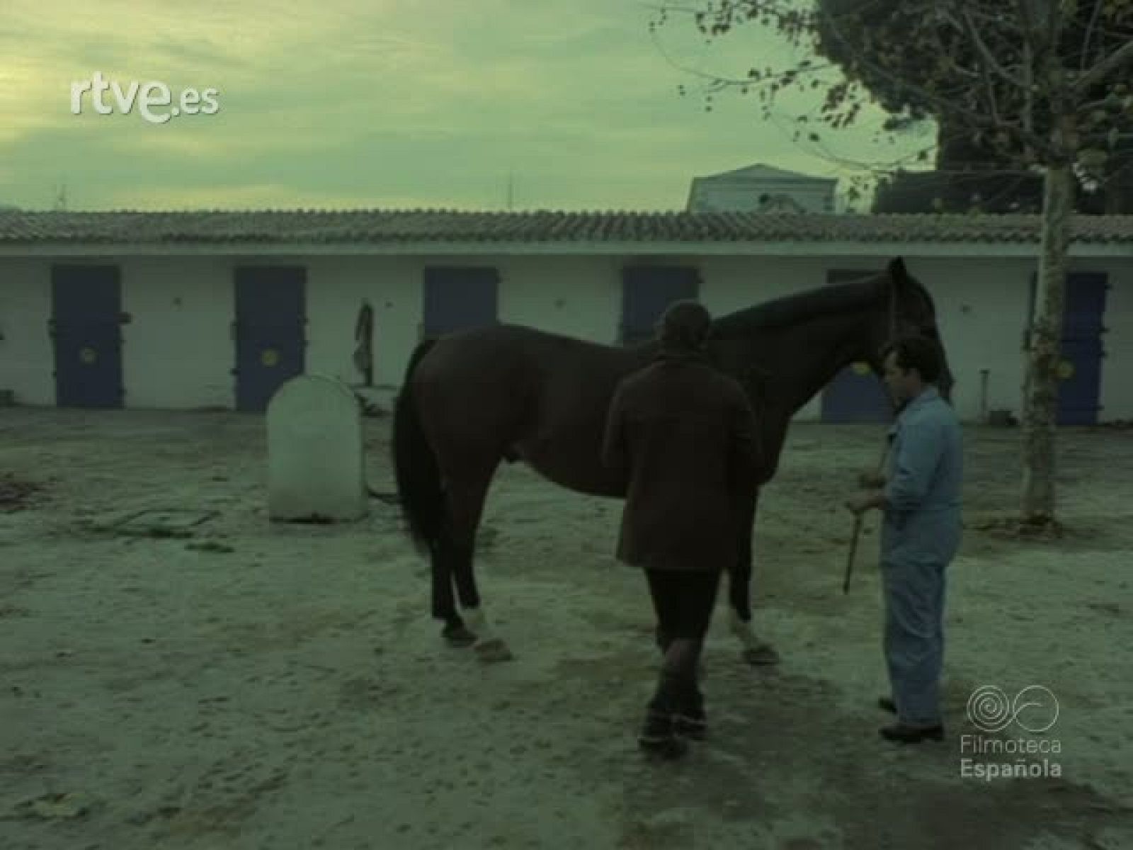 JINETES Y CABALLOS - Imágenes del deporte | Ver