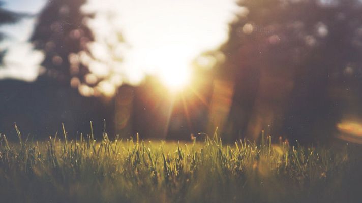 Noticias de Ceuta - Noticias de Ceuta - 31/10/14