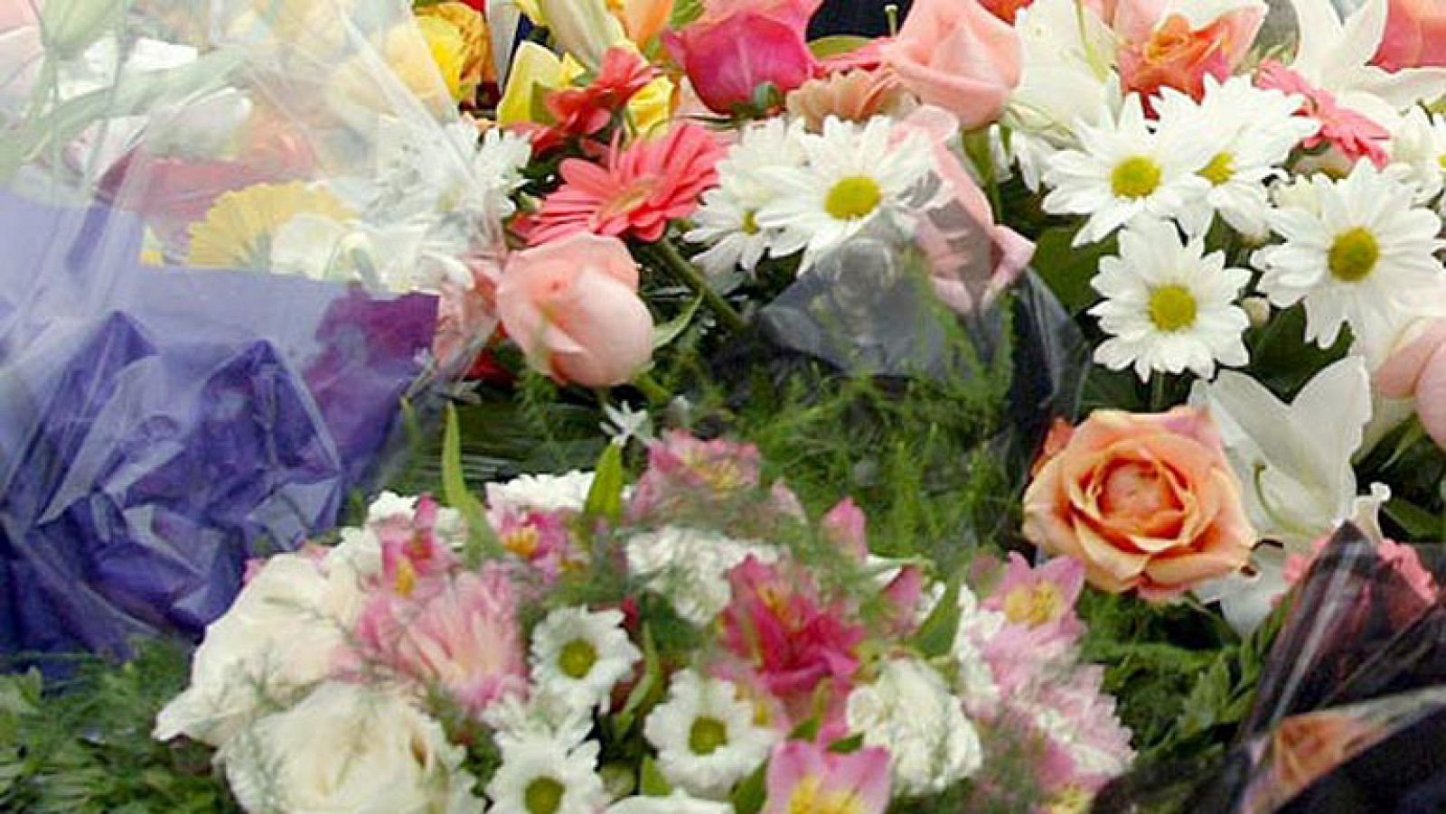 T con T - La escalada del precio de las flores