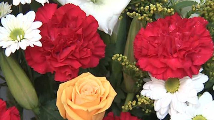 Agrosfera - Agrosfera - 01/11/4