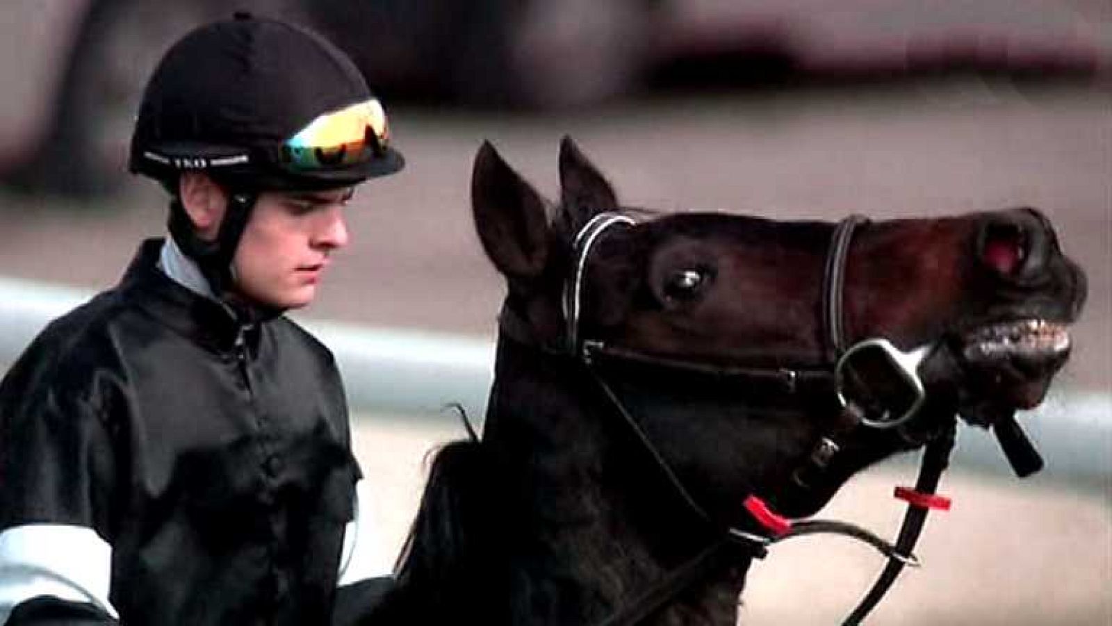 Turf - 02/11/14 - Ver ahora