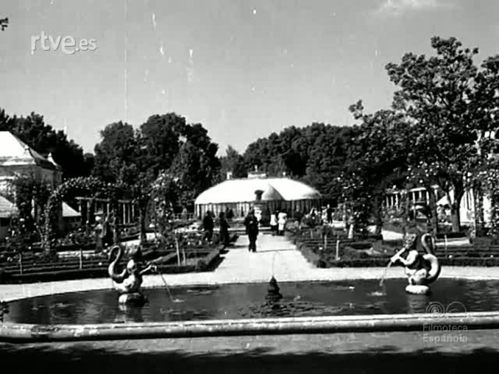 ANIMALES DE TIERRA Y AGUA - Documentales Blanco y Negro | Ver