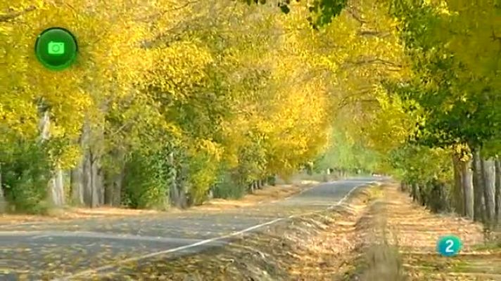 Agrosfera - Valle de Iruelas