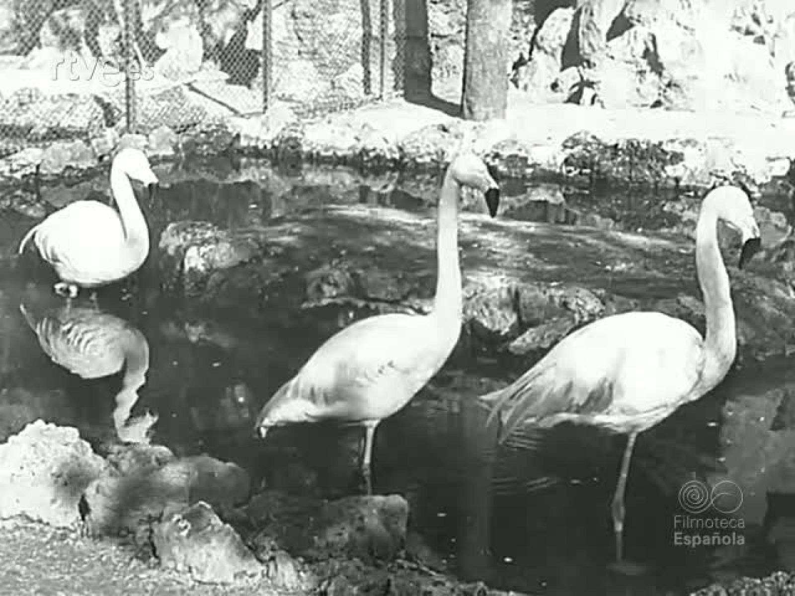 NOTICIAS SOBRE BARCELONA (DIPUTACION DE BARCELONA 1944) - Documentales Blanco y Negro | Ver