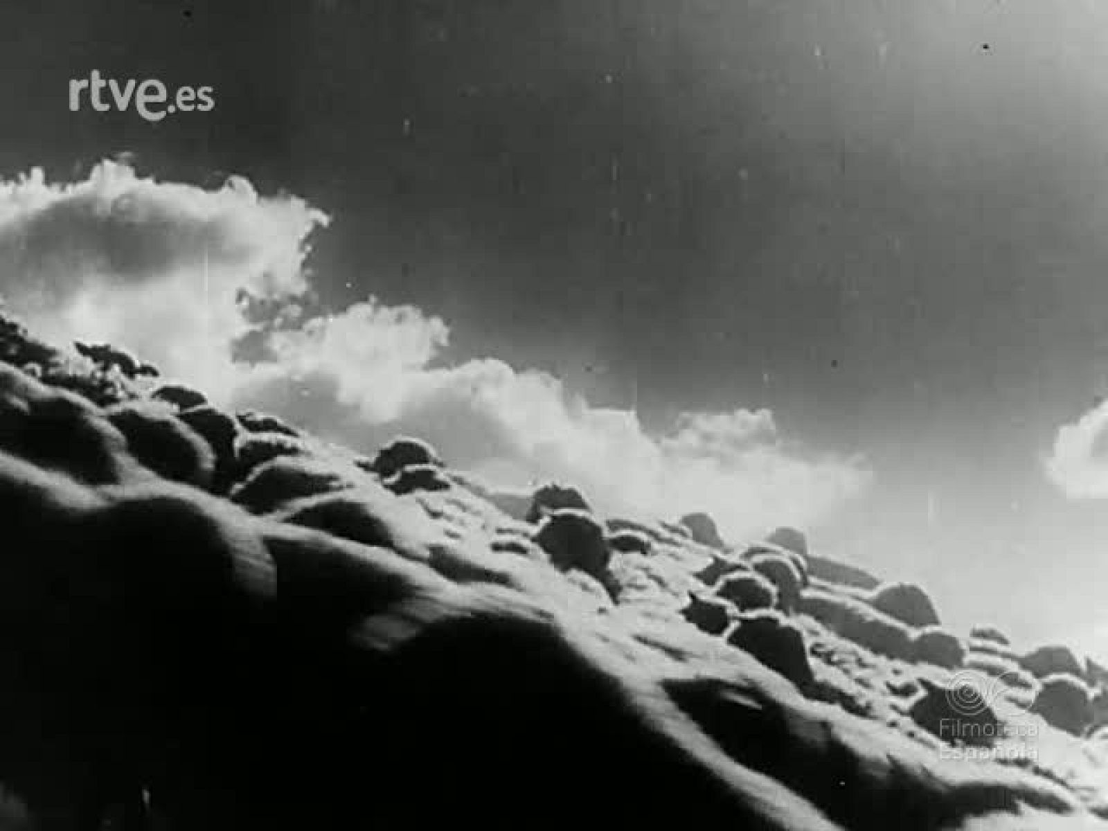 ELOGIO A MALLORCA - Documentales Blanco y Negro | Ver