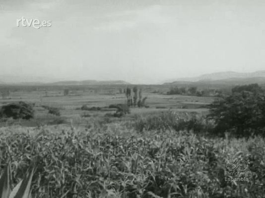 Documentales Blanco y Negro - LA HISTORIA DEL OLEODUCTO