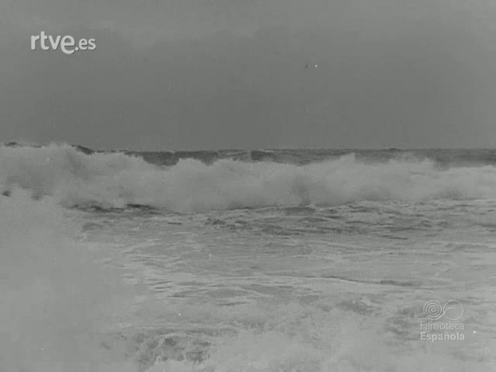 MADRID PUERTO PESQUERO - Documentales Blanco y Negro | Ver