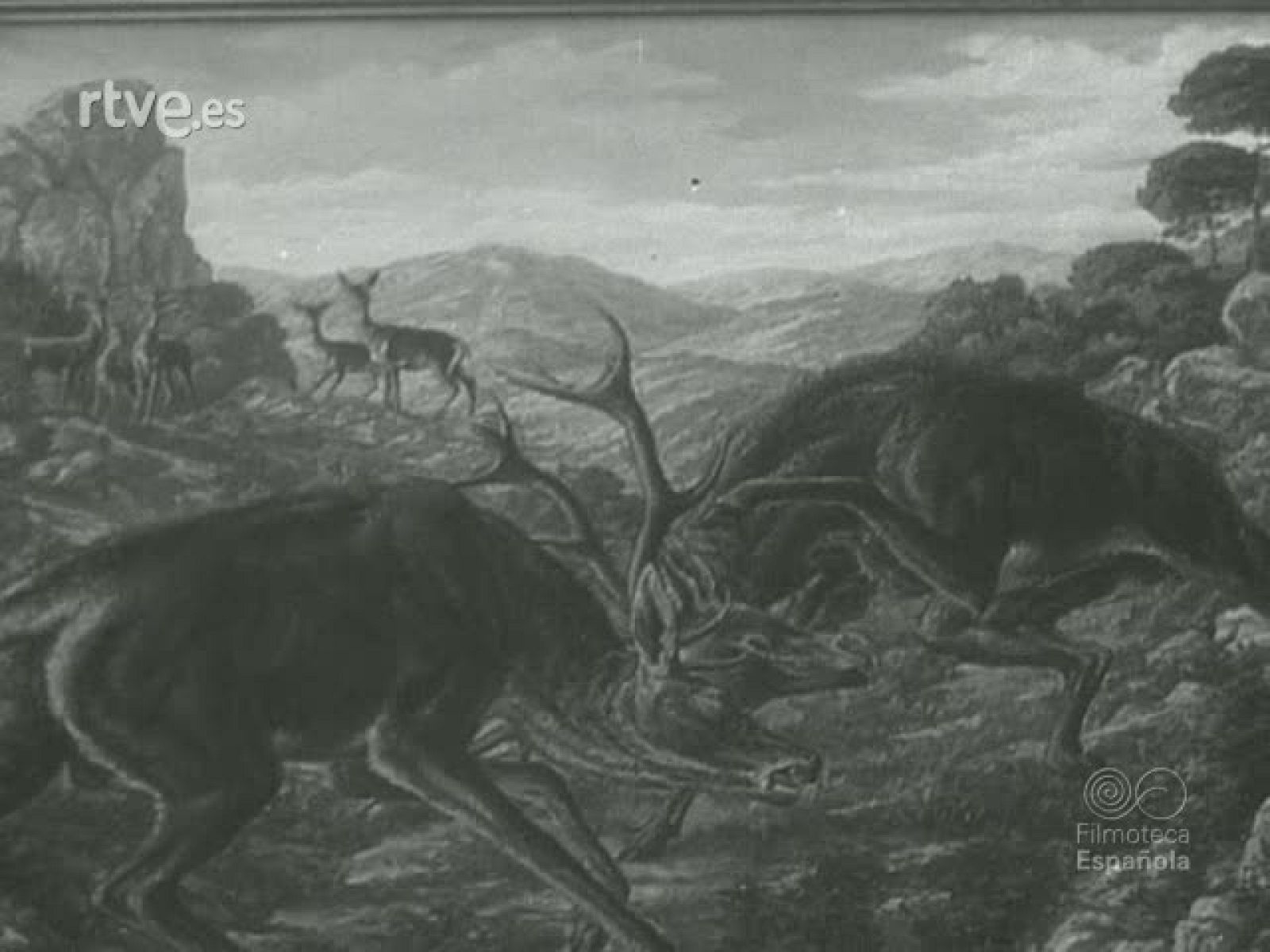 MONTERIAS EN EL PARDO Y ANDUJAR - Documentales Blanco y Negro | Ver