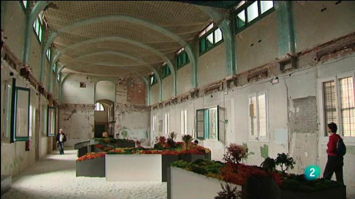 Para todos La 2 - Joe Dispenza