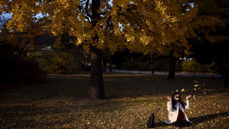 El tiempo en la Comunidad de Madrid - 04/11/14