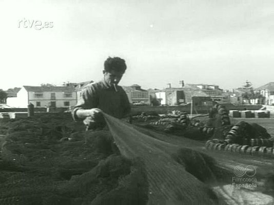 Documentales Blanco y Negro - PESCA EN GALICIA (RIQUEZA MARISQUERA)