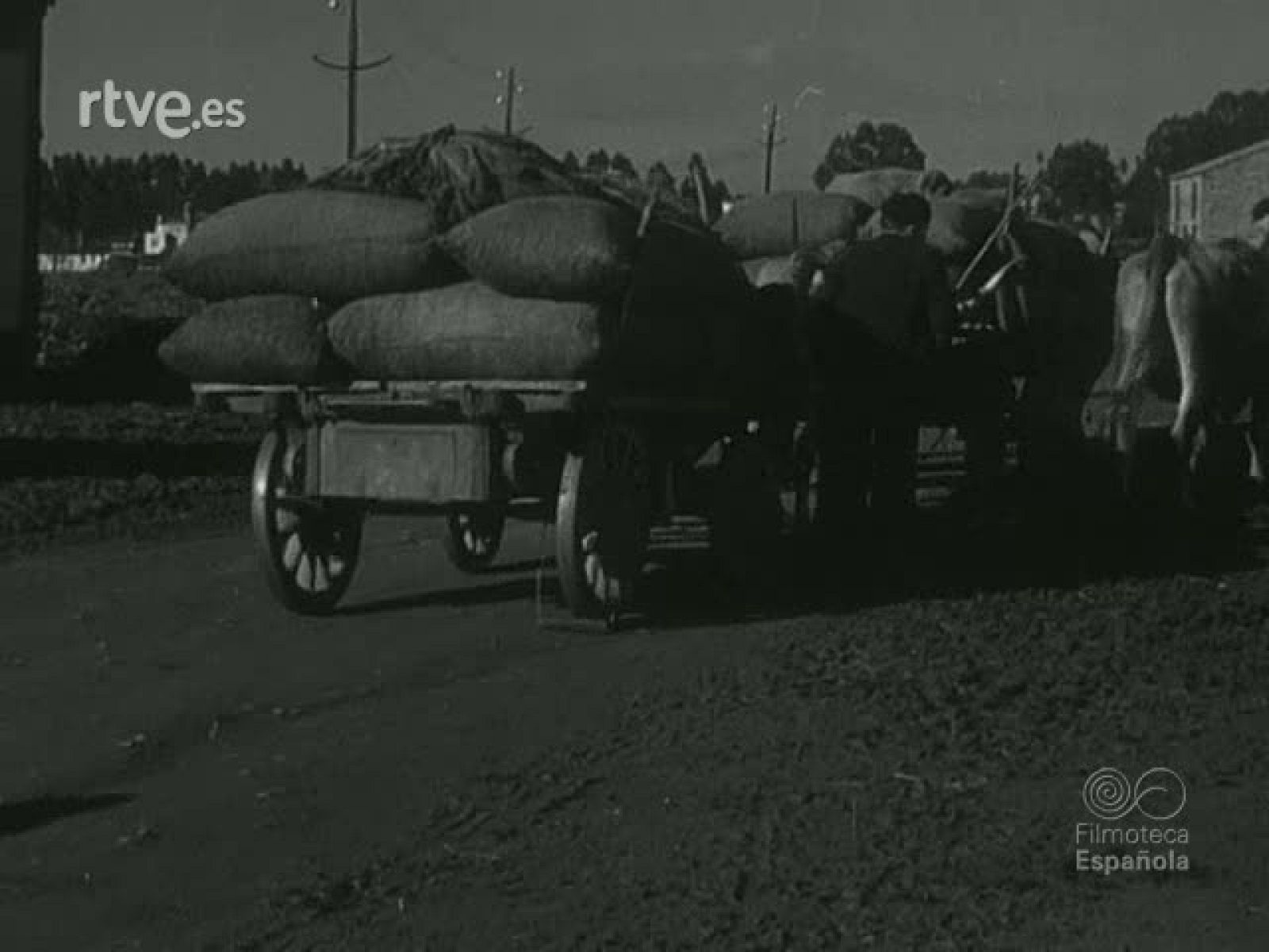 UN DIA EN SANTIAGO - Documentales Blanco y Negro | Ver