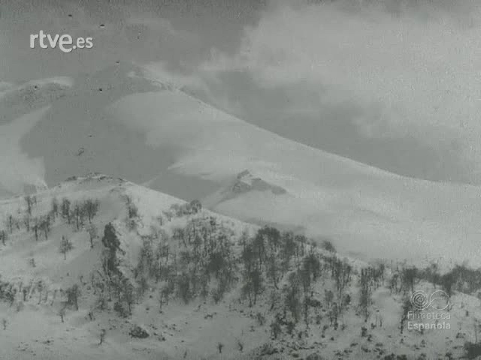 Y LLEGO LA CIGUEÑA - Documentales Blanco y Negro | Ver
