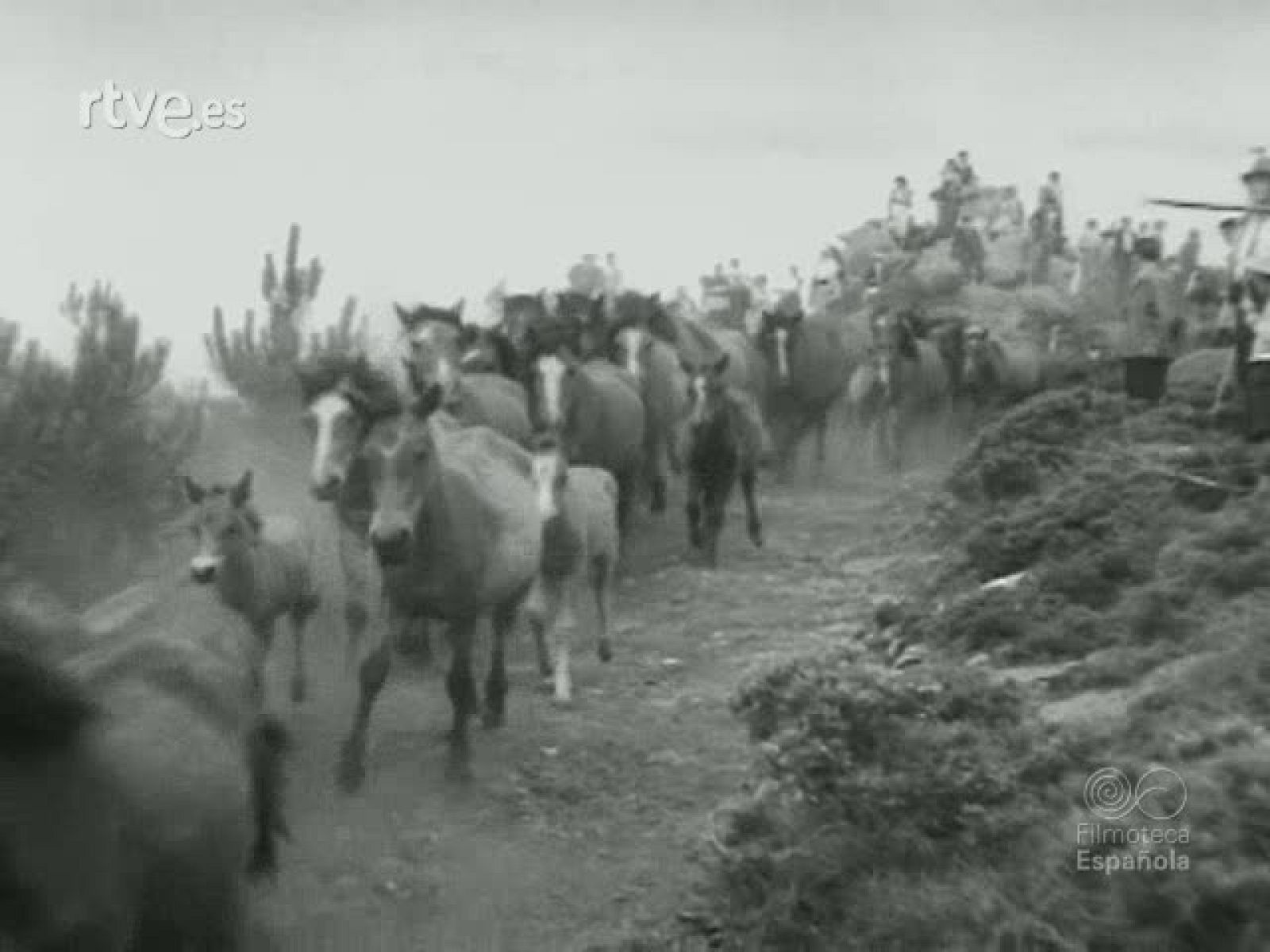 RESUMEN DE LA ACTUALIDAD ESPAÑOLA EN 1956 - Documentales Blanco y Negro | Ver
