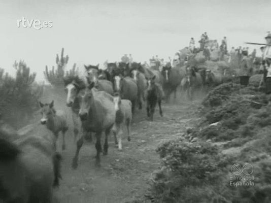Documentales Blanco y Negro - RESUMEN DE LA ACTUALIDAD ESPAÑOLA EN 1956