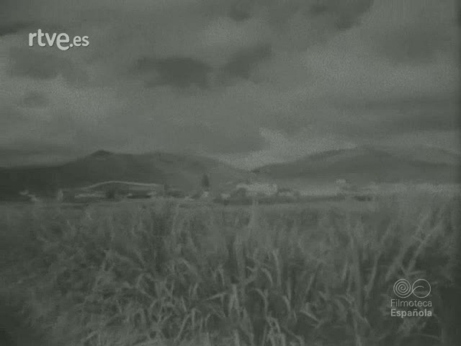 VISION FANTASTICA - Documentales Blanco y Negro | Ver