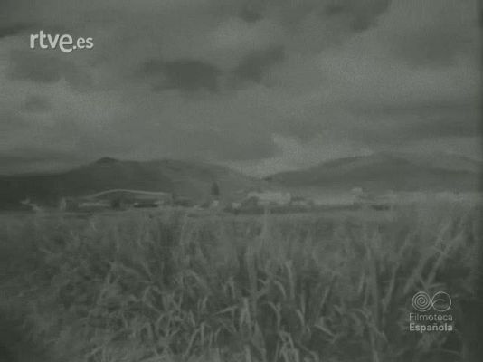 Documentales Blanco y Negro - VISION FANTASTICA