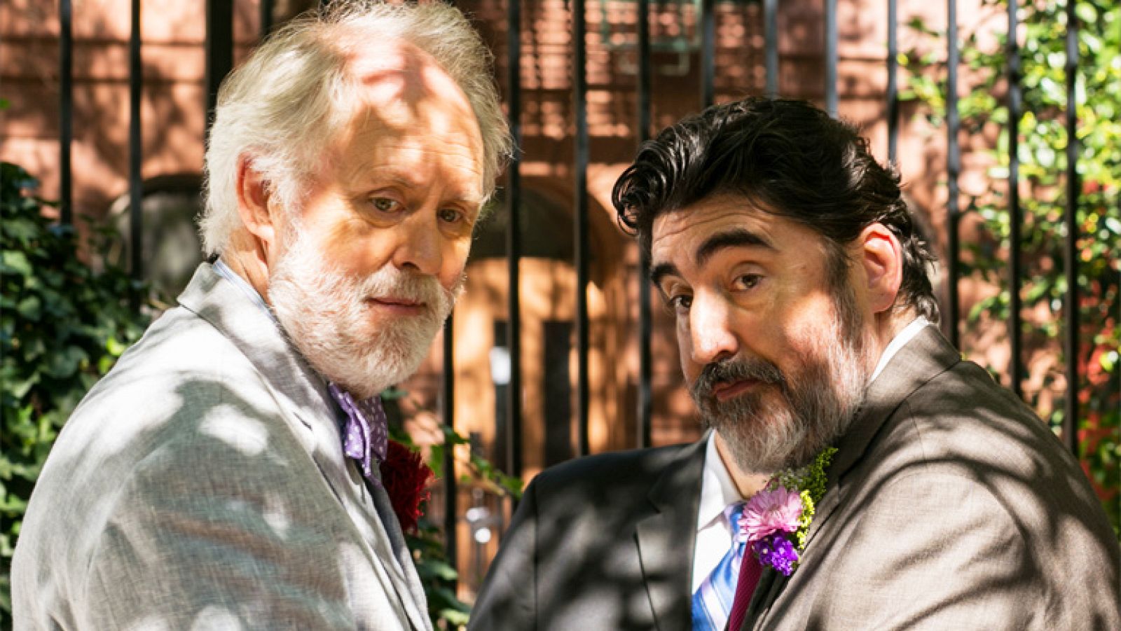 Tráiler de 'El amor es extraño' | Ver