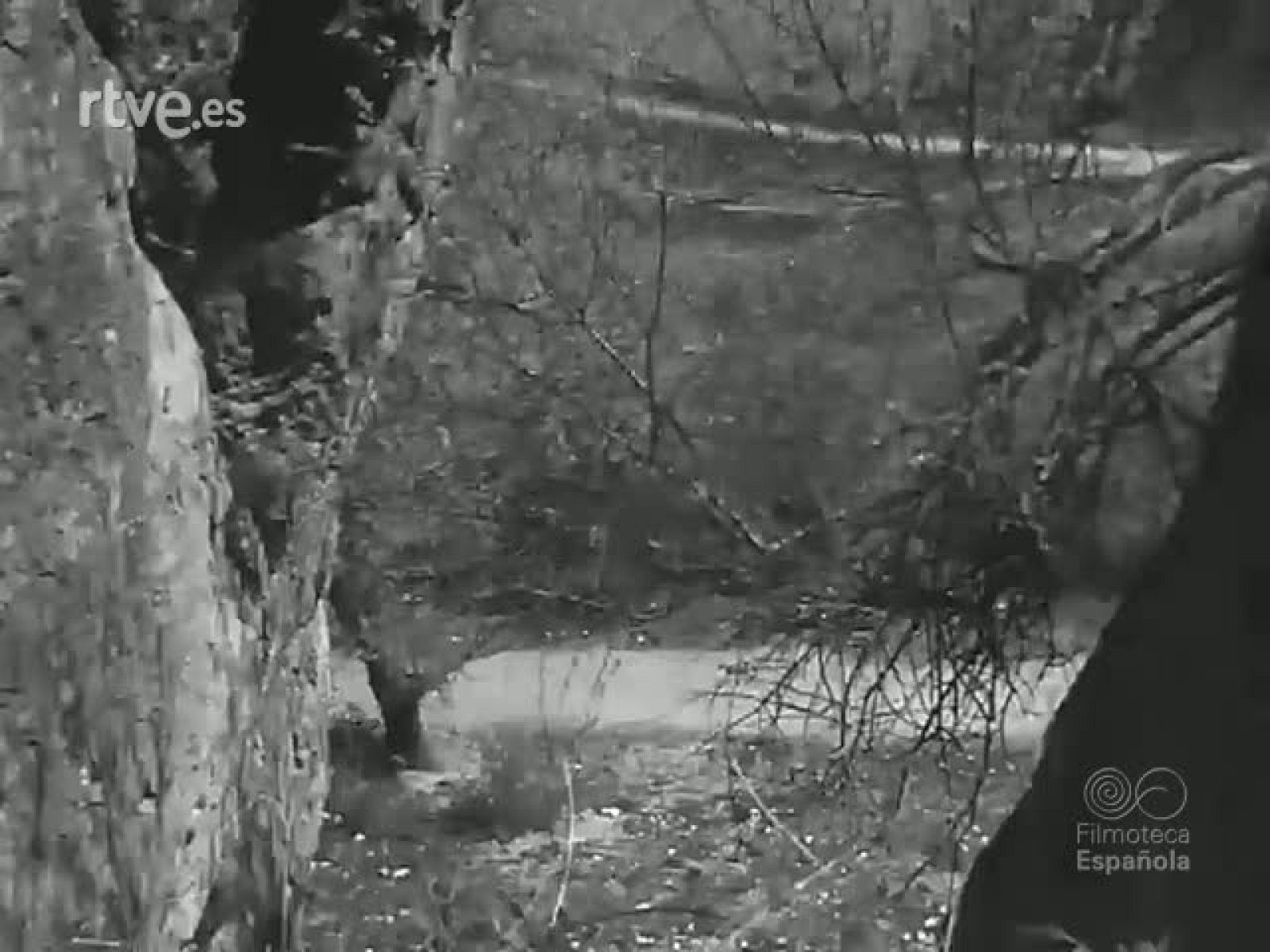 CUENCA Y SU SEMANA SANTA - Revista Imágenes | Ver