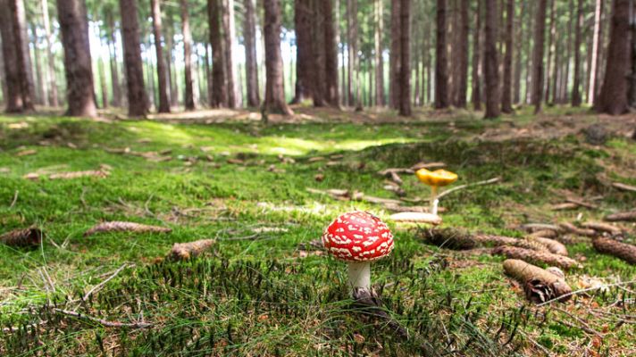 El tiempo - Temperaturas diurnas en ascenso en la península