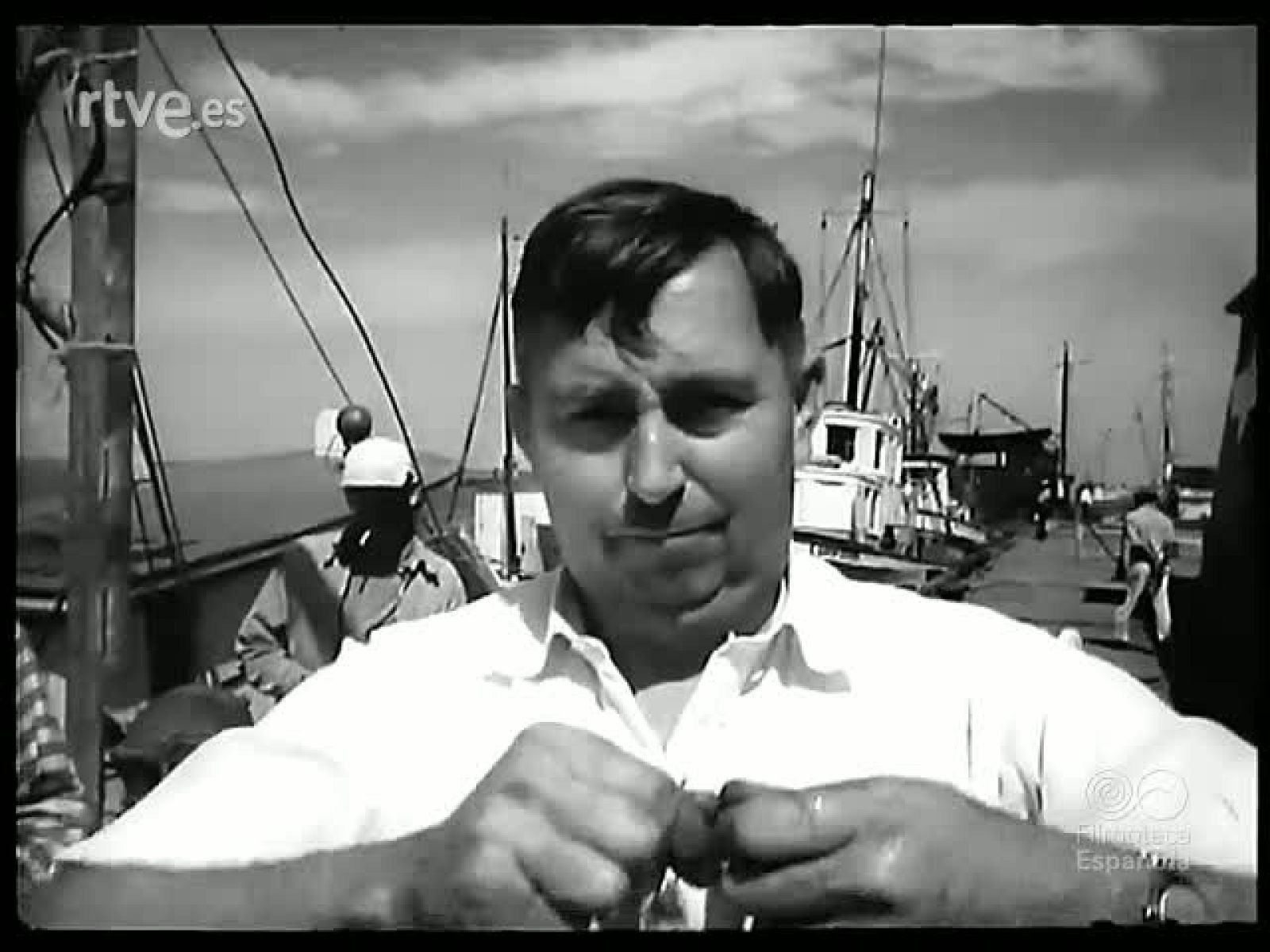 REVISTA ZOOLOGICA - Revista Imágenes | Ver