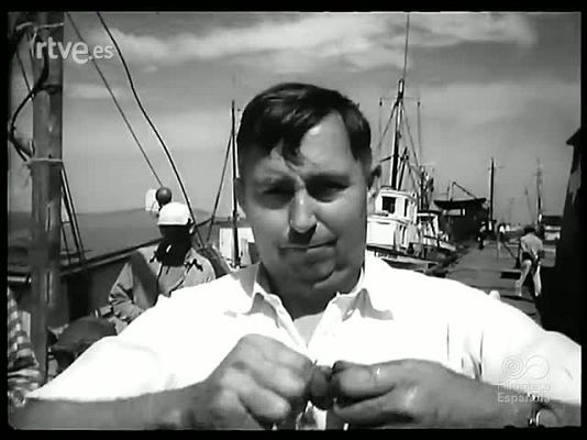 Revista Imágenes - REVISTA ZOOLOGICA