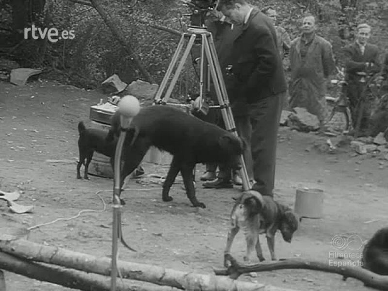 IMAGENES DE FUERA Y DENTRO DEL CIRCO - Revista Imágenes | Ver