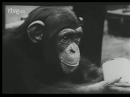 Revista Imágenes - EXTRAORDINARIO Y SENSACIONAL