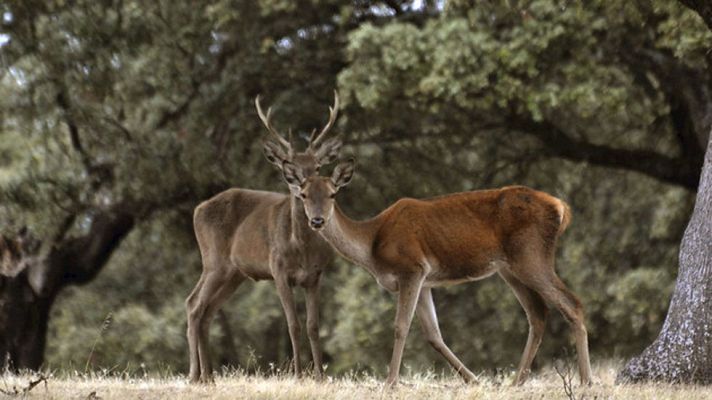 Informativo de Madrid - El tiempo en la Comunidad de Madrid - 06/11/14