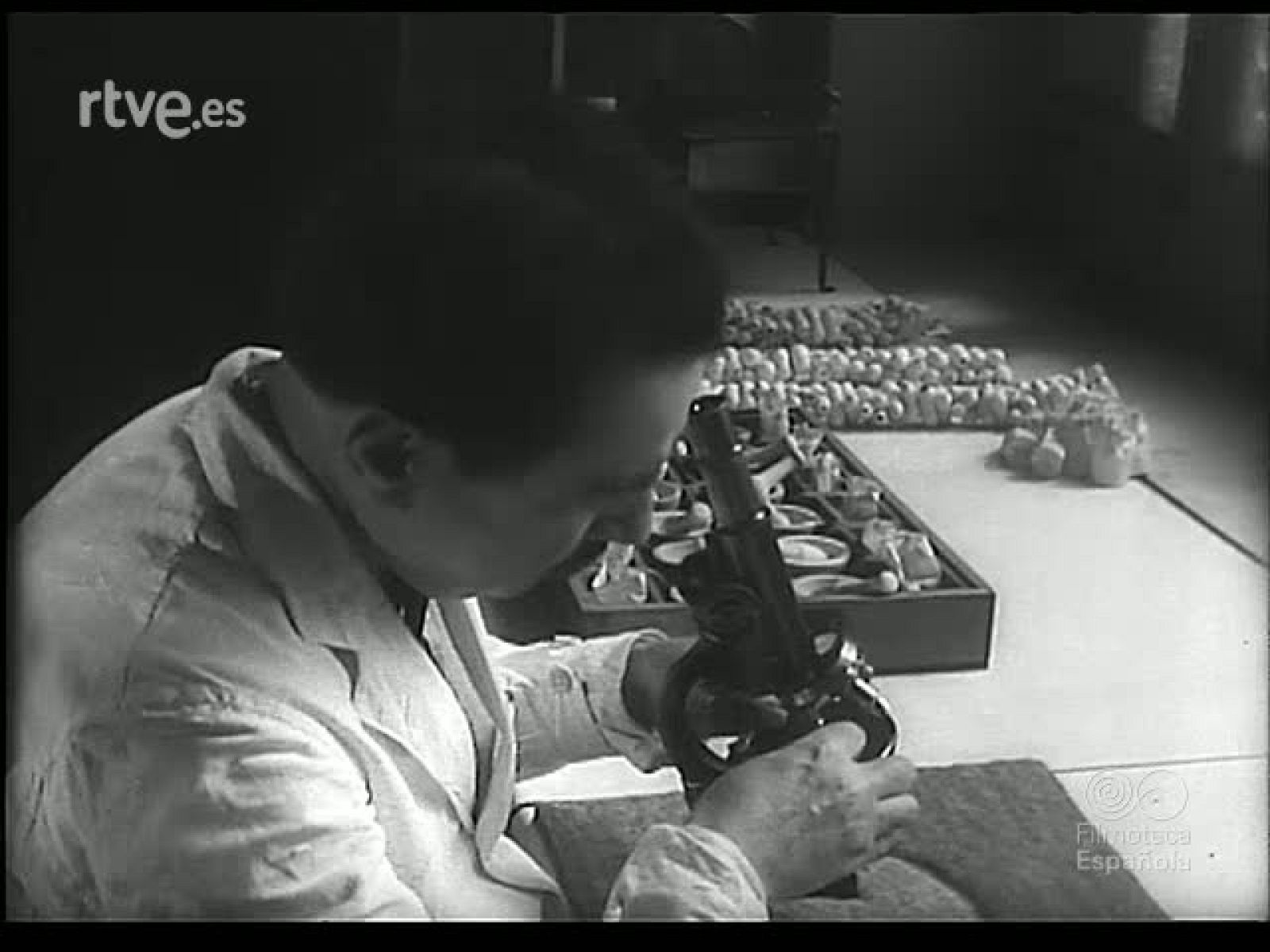 LA SEDA Y SU INDUSTRIA - Revista Imágenes | Ver