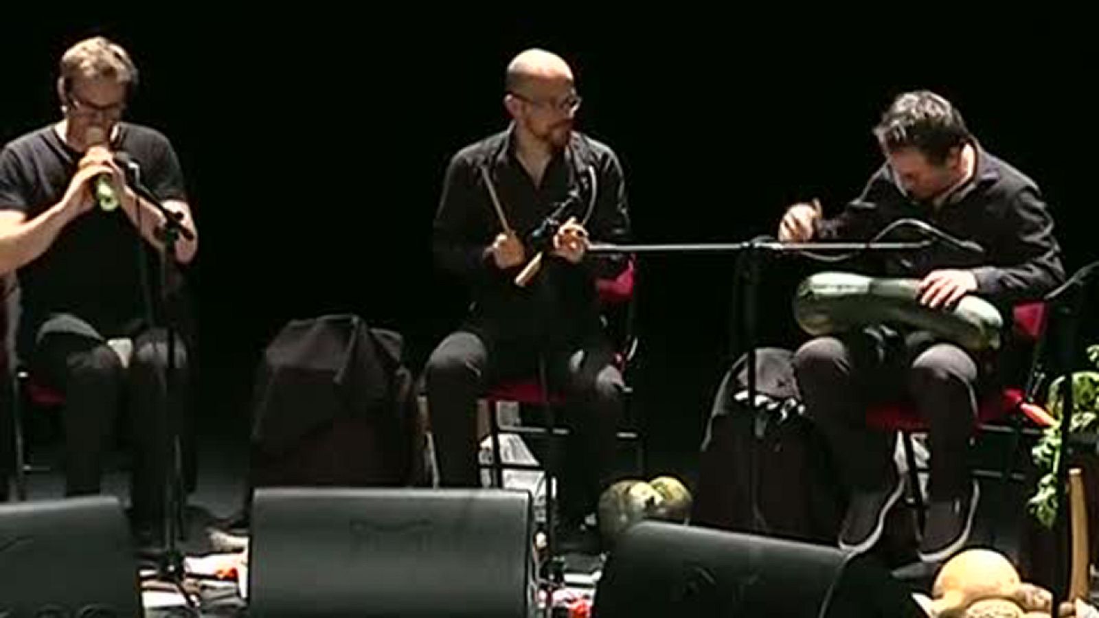 Burgos celebra un concierto con una orquesta "vegetal"