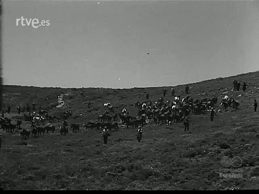 Revista Imágenes - CRINES AL VIENTO