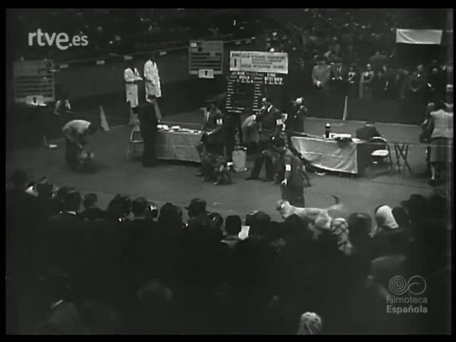 MODAS - Revista Imágenes | Ver