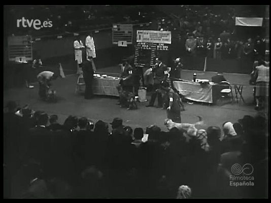 Revista Imágenes - MODAS