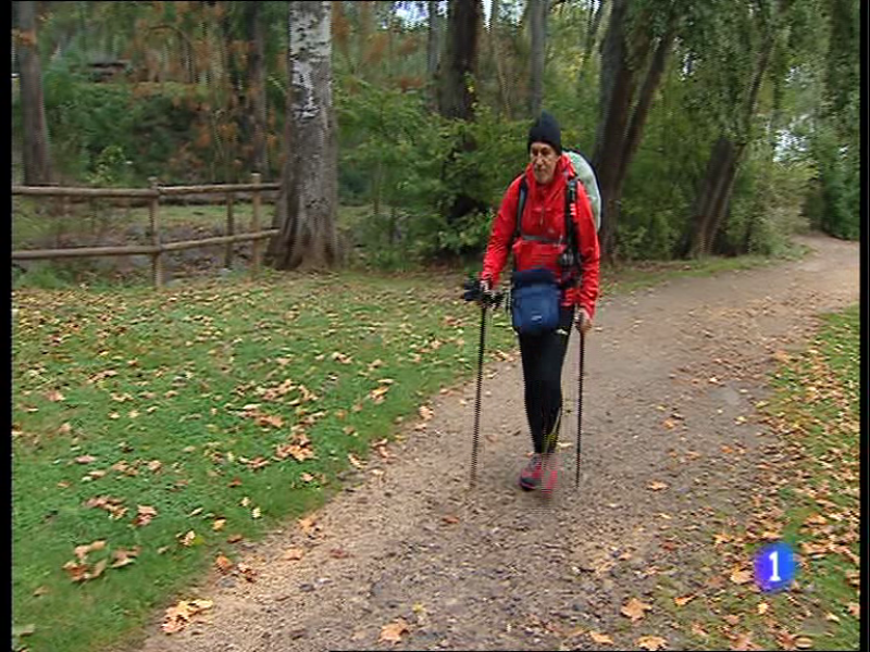 Informativo Telerioja 2 - 7/11/14 | Ver