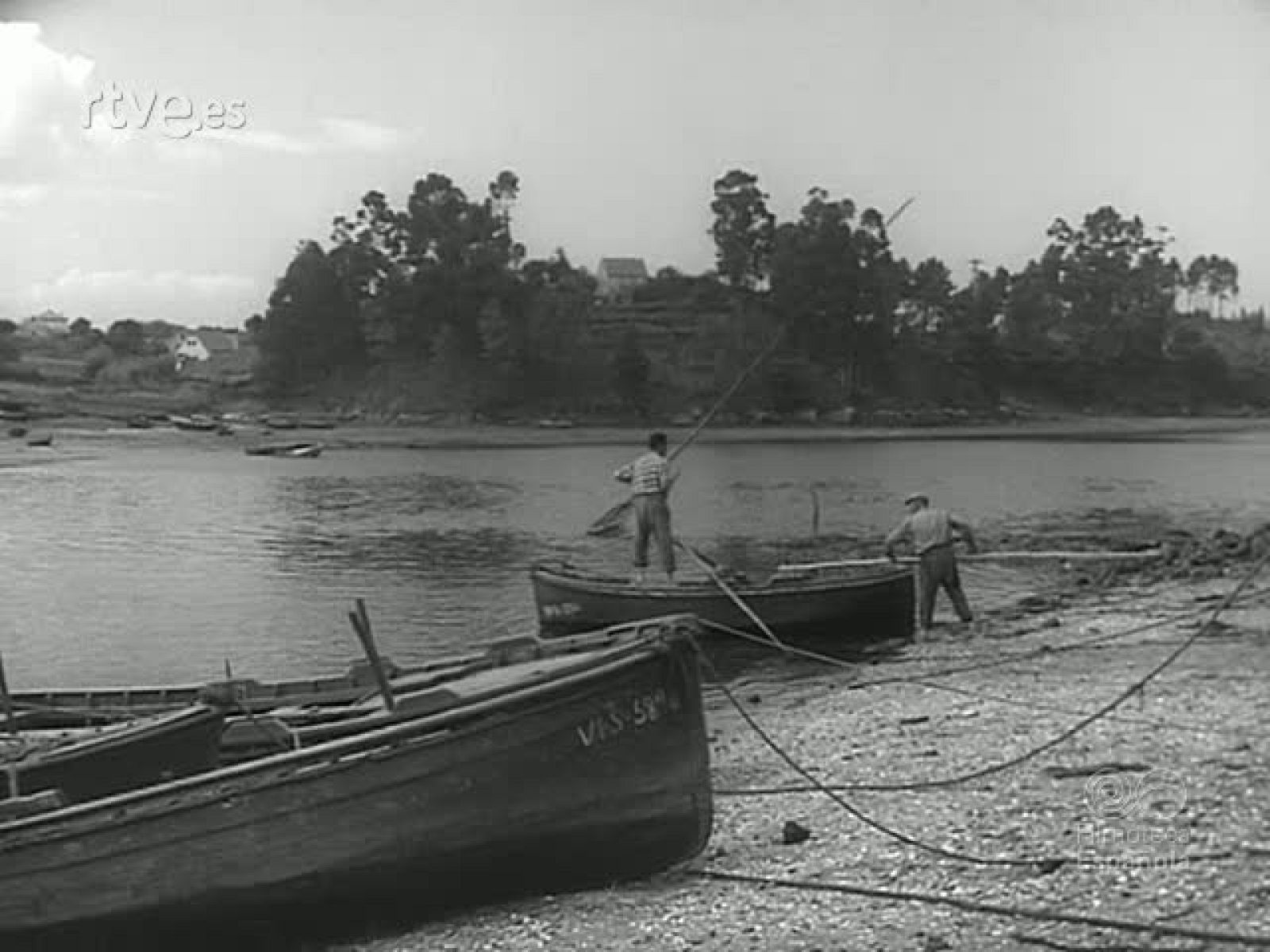 RIQUEZA MARISQUERA - Revista Imágenes | Ver