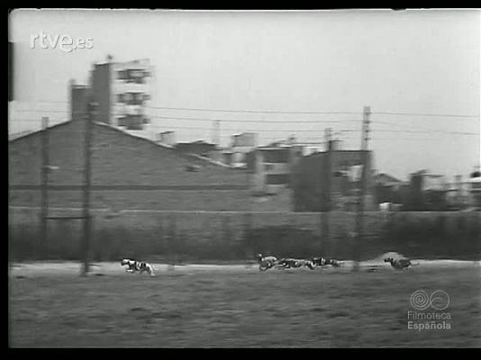 Revista Imágenes - MOSAICO DEPORTIVO