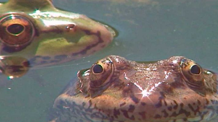 El jardín viviente - Un mundo en miniatura