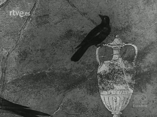 Revista Imágenes - EL EXTRAÑO MUNDO DEL OBJETO