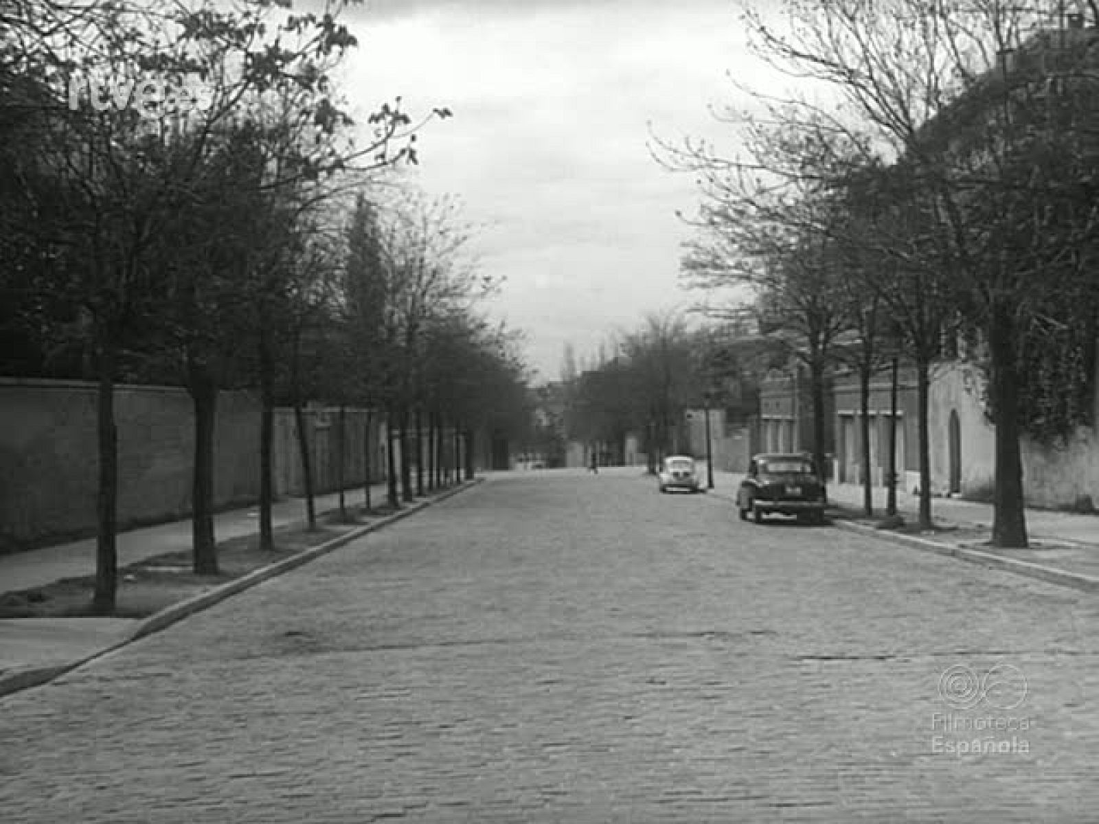 CADA DOMINGO - Revista Imágenes | Ver