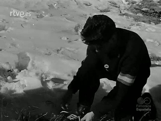 Revista Imágenes - PISTAS BLANCAS