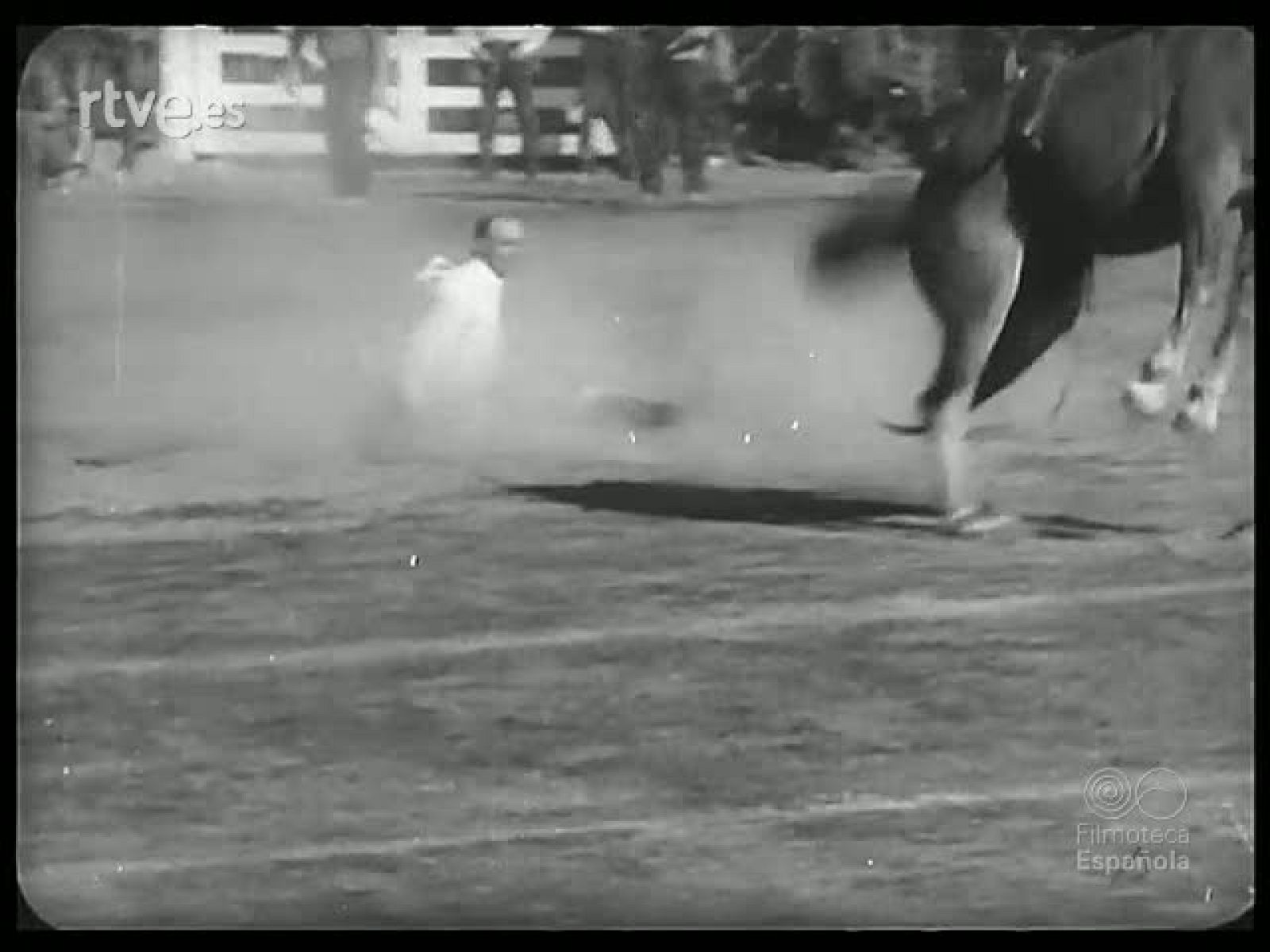 CABALLOS Y CARRERAS - Revista Imágenes | Ver