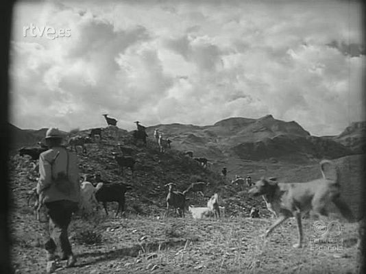 Revista Imágenes - 25 AÑOS DE PAZ AGRICULTURA