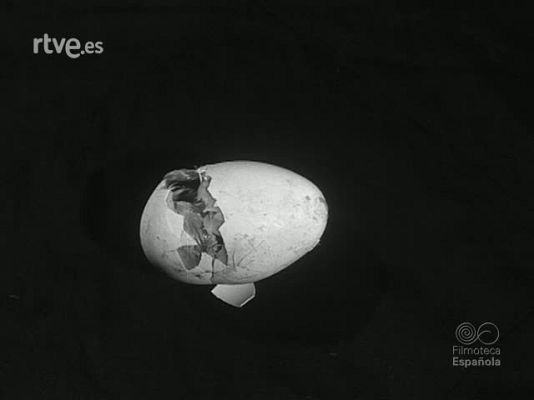 Revista Imágenes - MAS ALLA DEL CASCARON